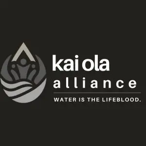 Kai Ola Alliance logo design with wave and water-drop icon