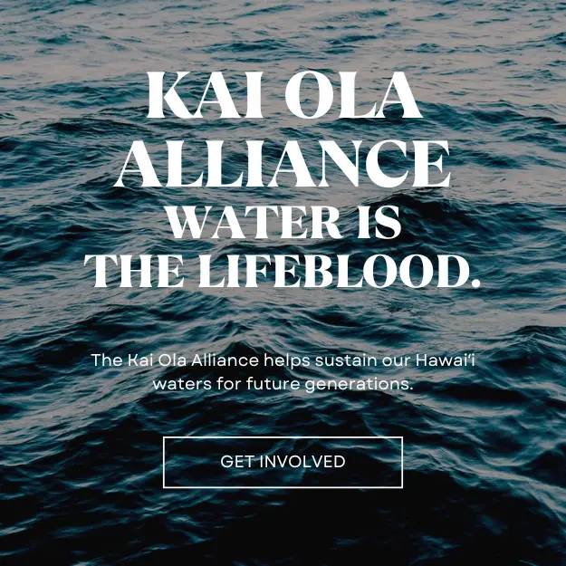 Kai Ola Alliance website homepage design with ocean wave background and Get Involved call to action